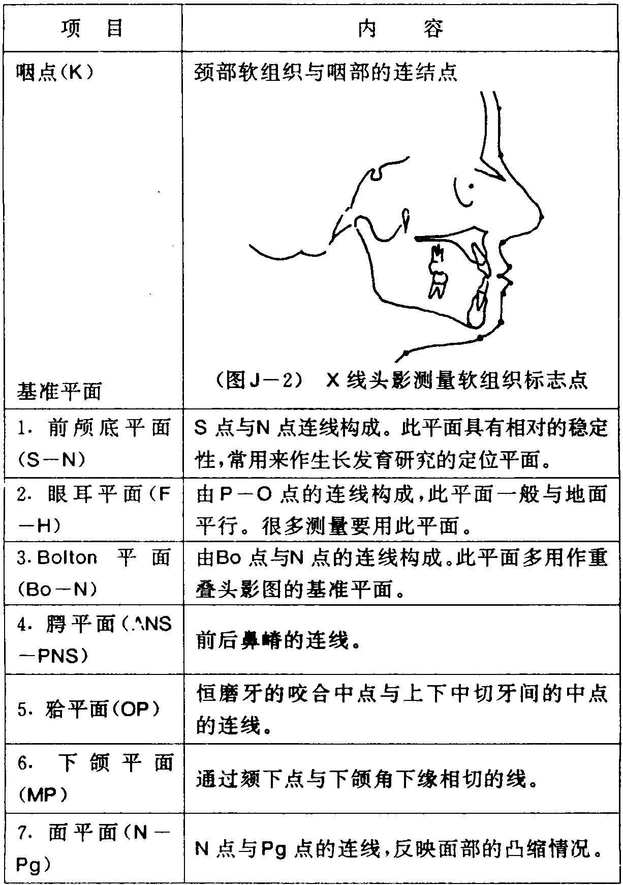 头影测量基准平面图片